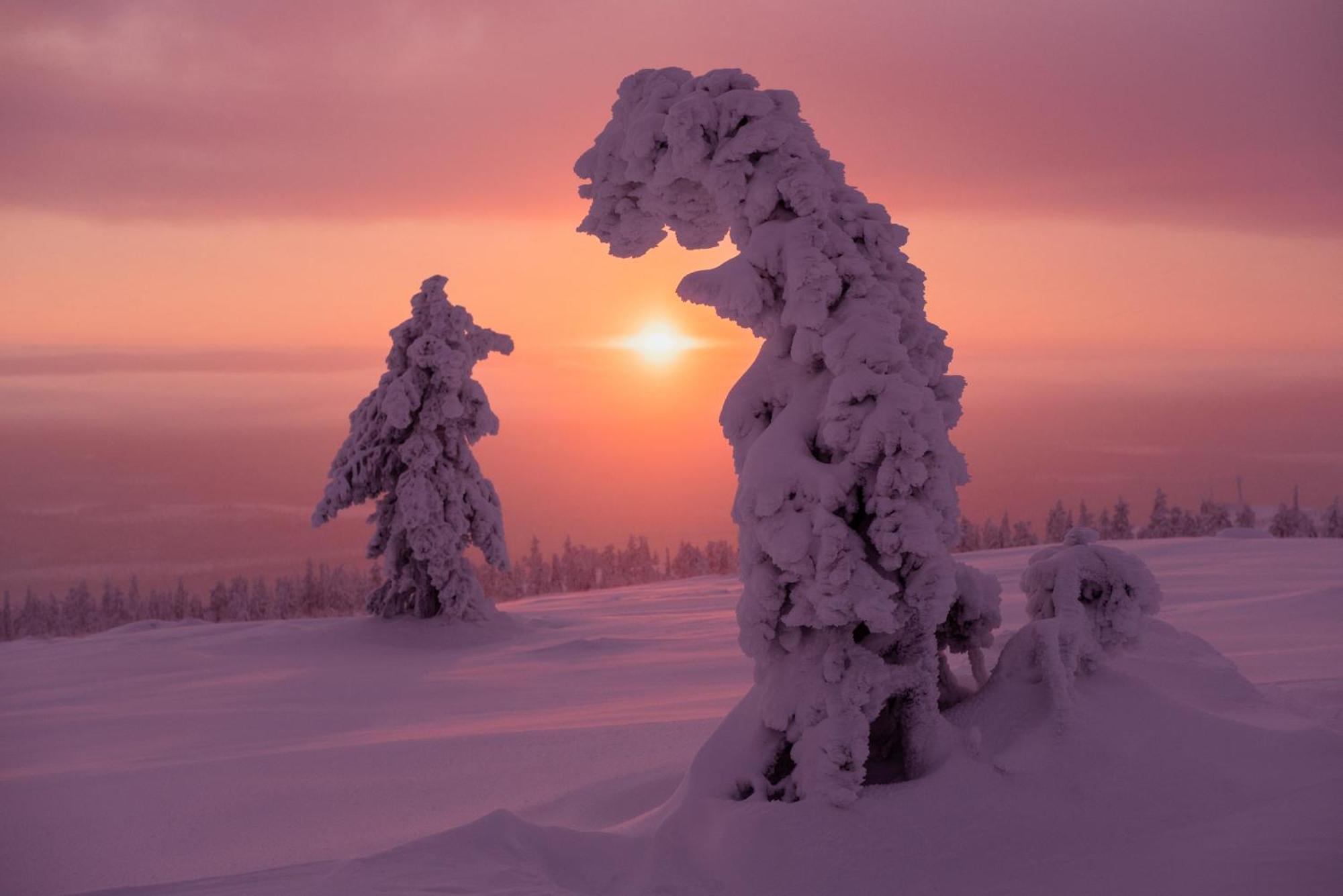 Apartmán Roehkoestar 107 Äkäslompolo Exteriér fotografie